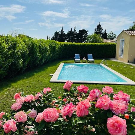 Отель Un Coin Tropical En Provence ! Л'Иль-сюр-ла-Сорг Экстерьер фото