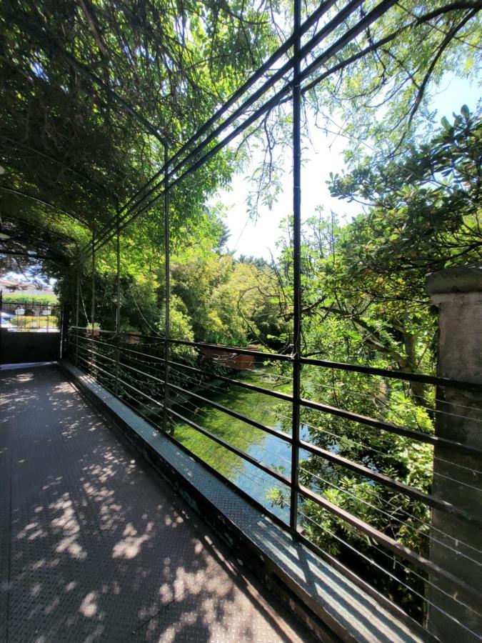 Отель Un Coin Tropical En Provence ! Л'Иль-сюр-ла-Сорг Экстерьер фото